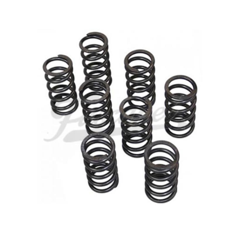 Resortes válvulas duros simples EMPI