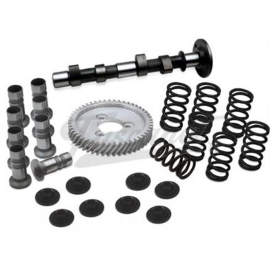 Kit potencia motor Scat C-35 con resorte simple